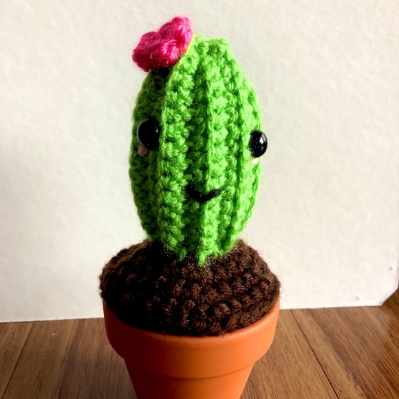 Crochet cactus house plant